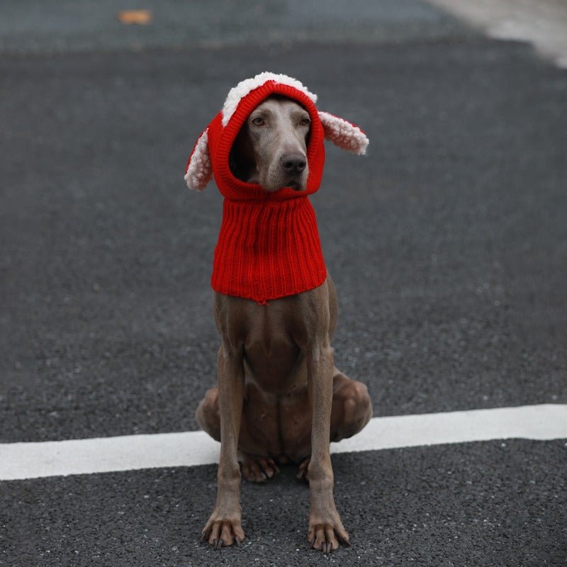 Warm Knitted Dog Ear Protection Hat