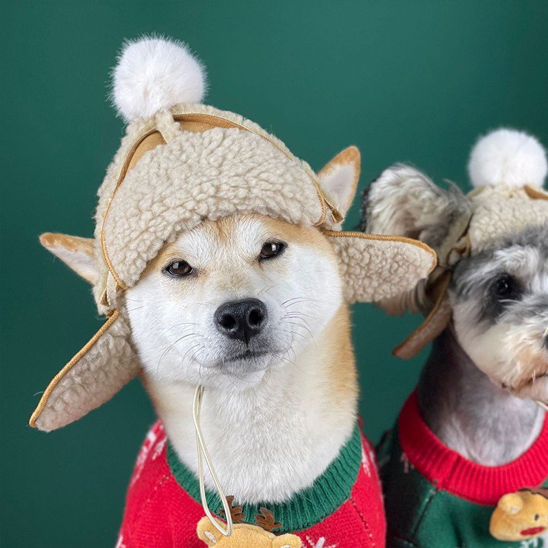 Warm Lamb Woolen Dog Hat