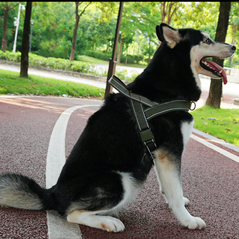No Pull Anti Escape Large Dog Harness Set