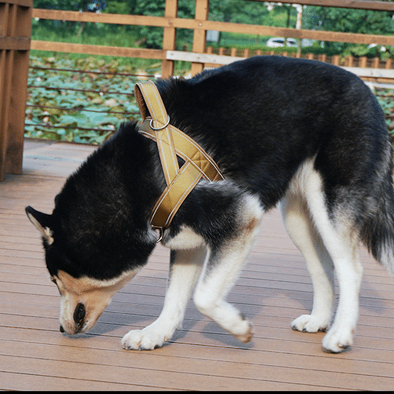 No Pull Anti Escape Large Dog Harness Set