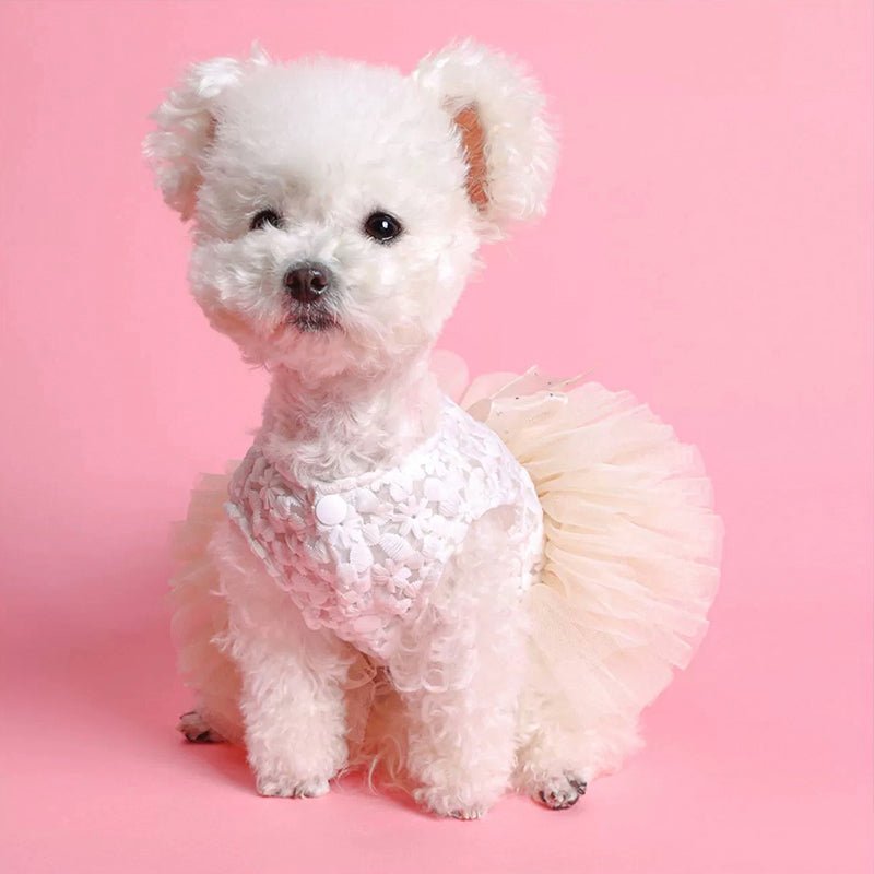 Opulent Princess Dog Dress