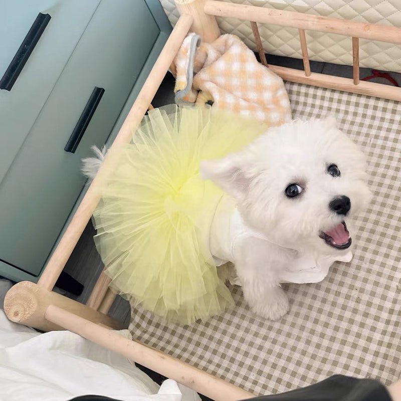 Layered Mesh Princess Cat Dress