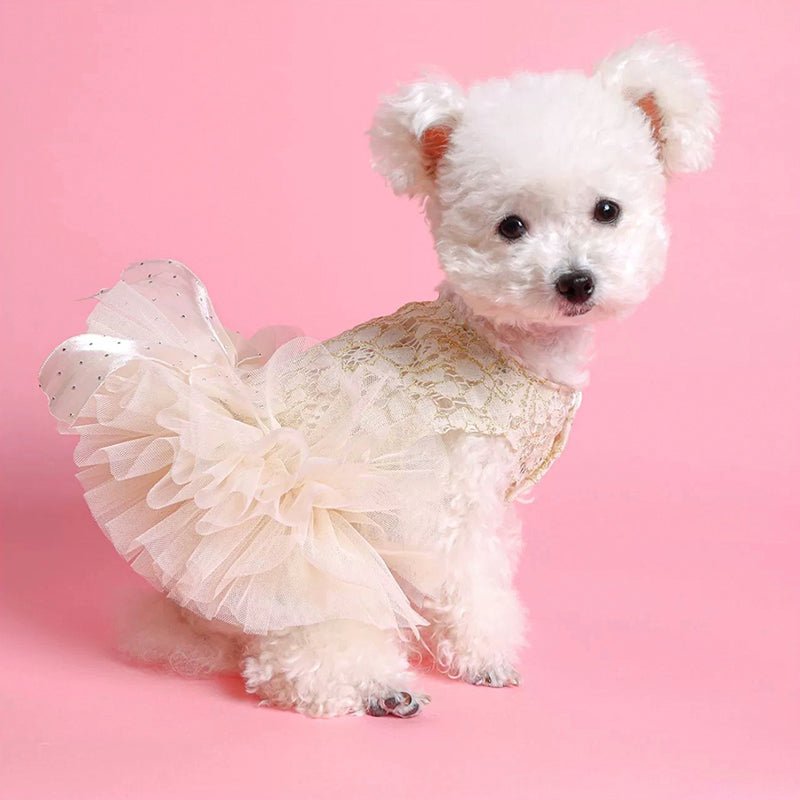 Opulent Princess Dog Dress