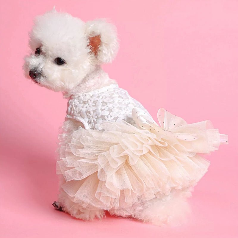 Opulent Princess Dog Dress