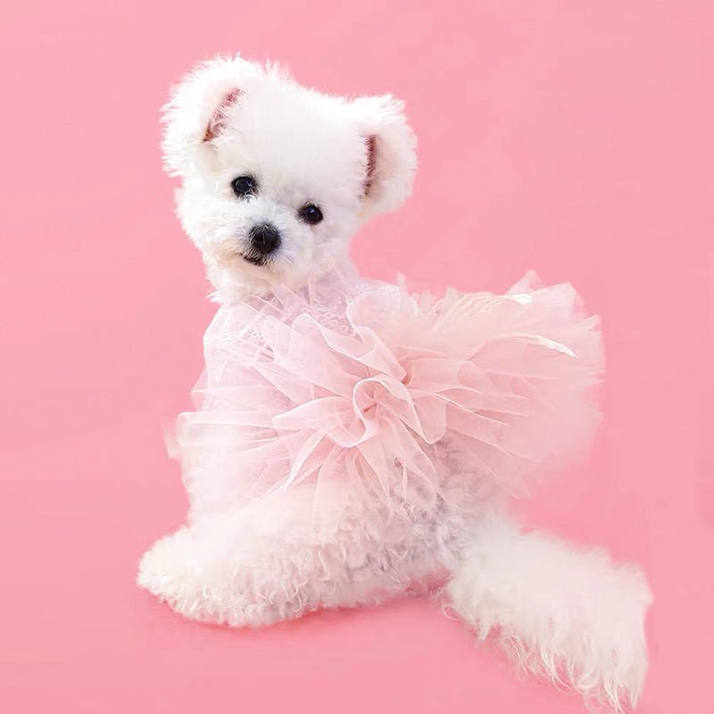 Opulent Princess Dog Dress