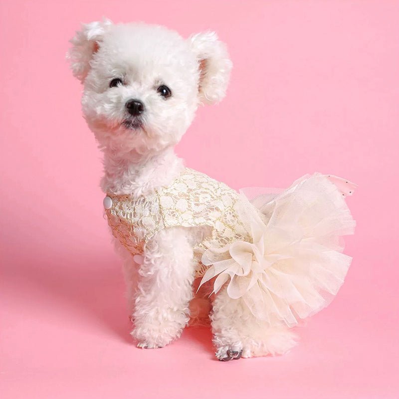 Opulent Princess Dog Dress