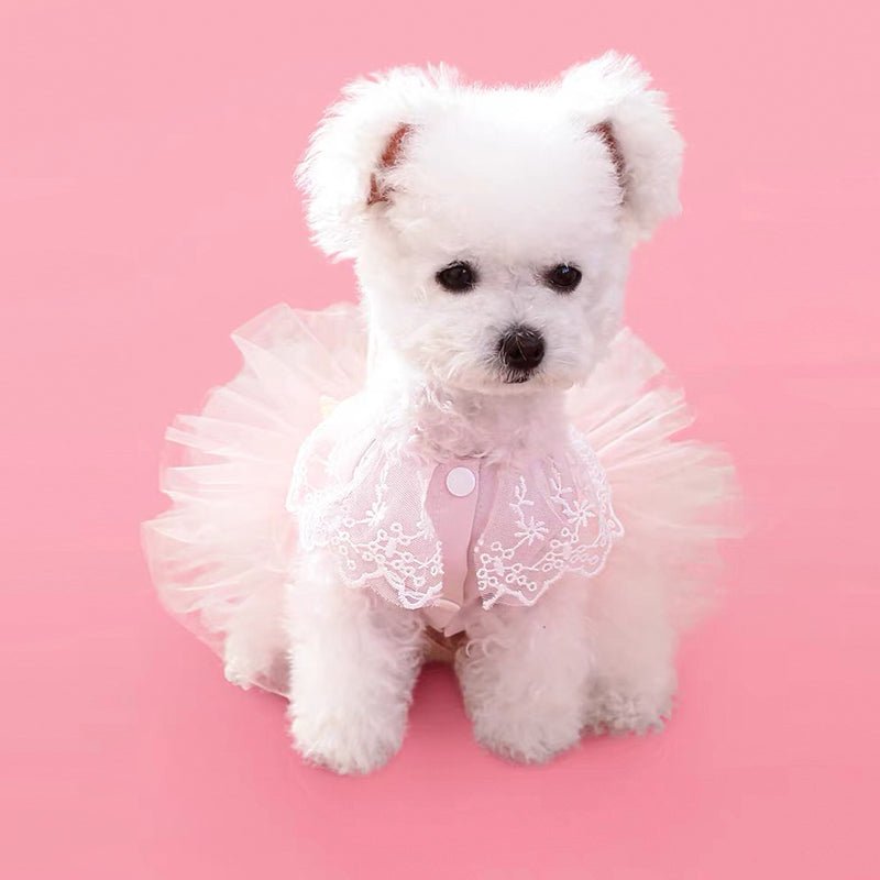 Opulent Princess Dog Dress