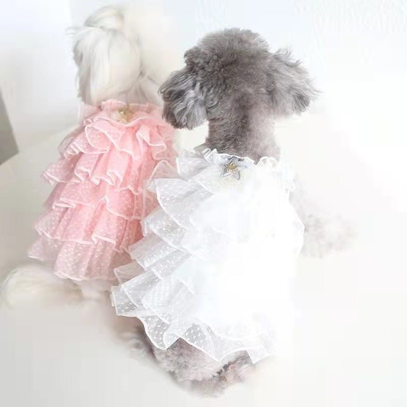 Lightweight Layered Lace Dog Dress