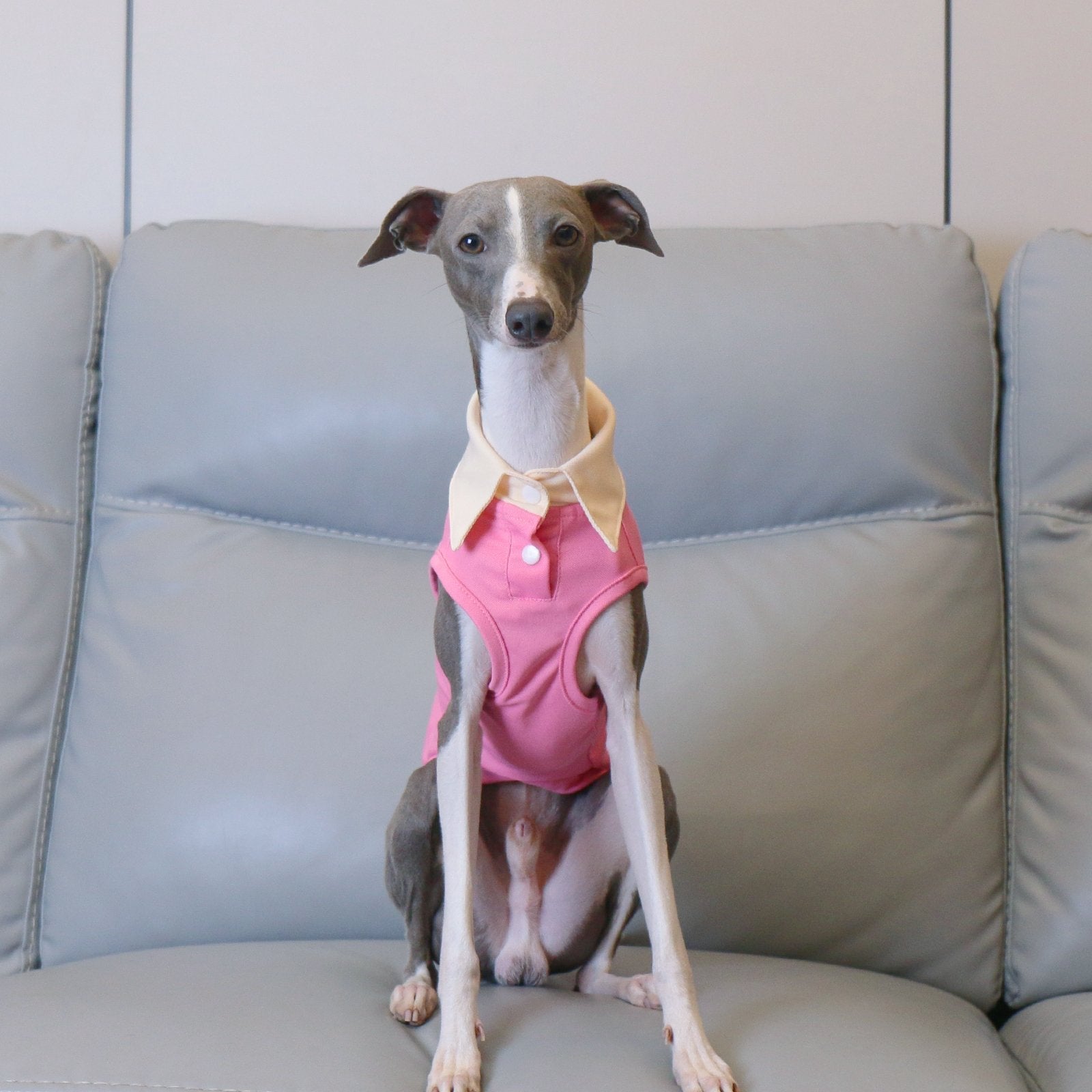 Lightweight Pink Sighthound Polo Shirt