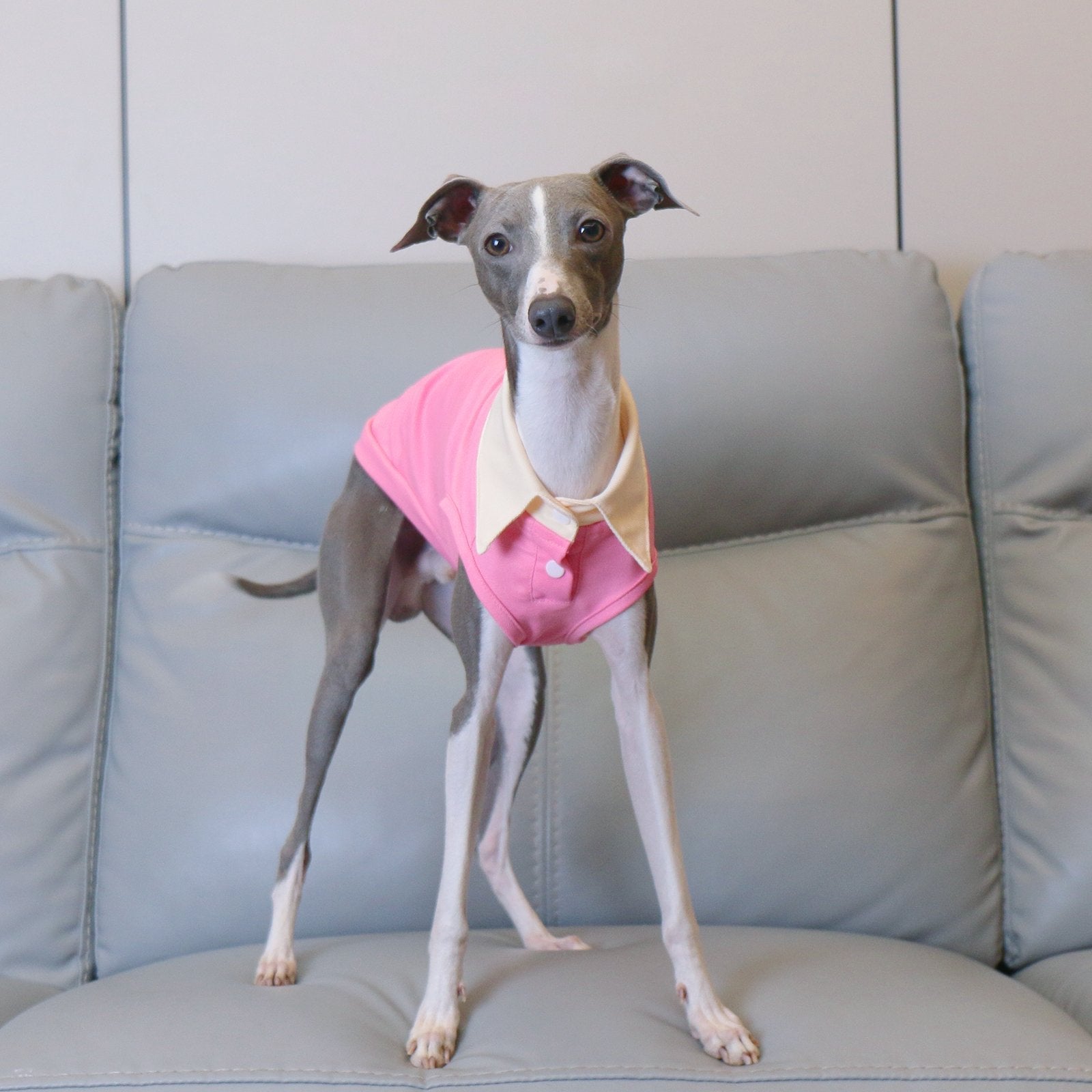 Lightweight Pink Sighthound Polo Shirt