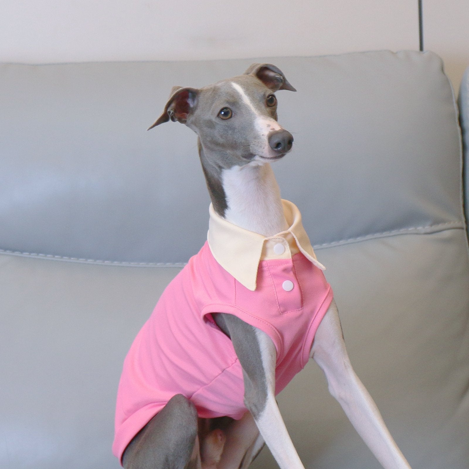 Lightweight Pink Sighthound Polo Shirt