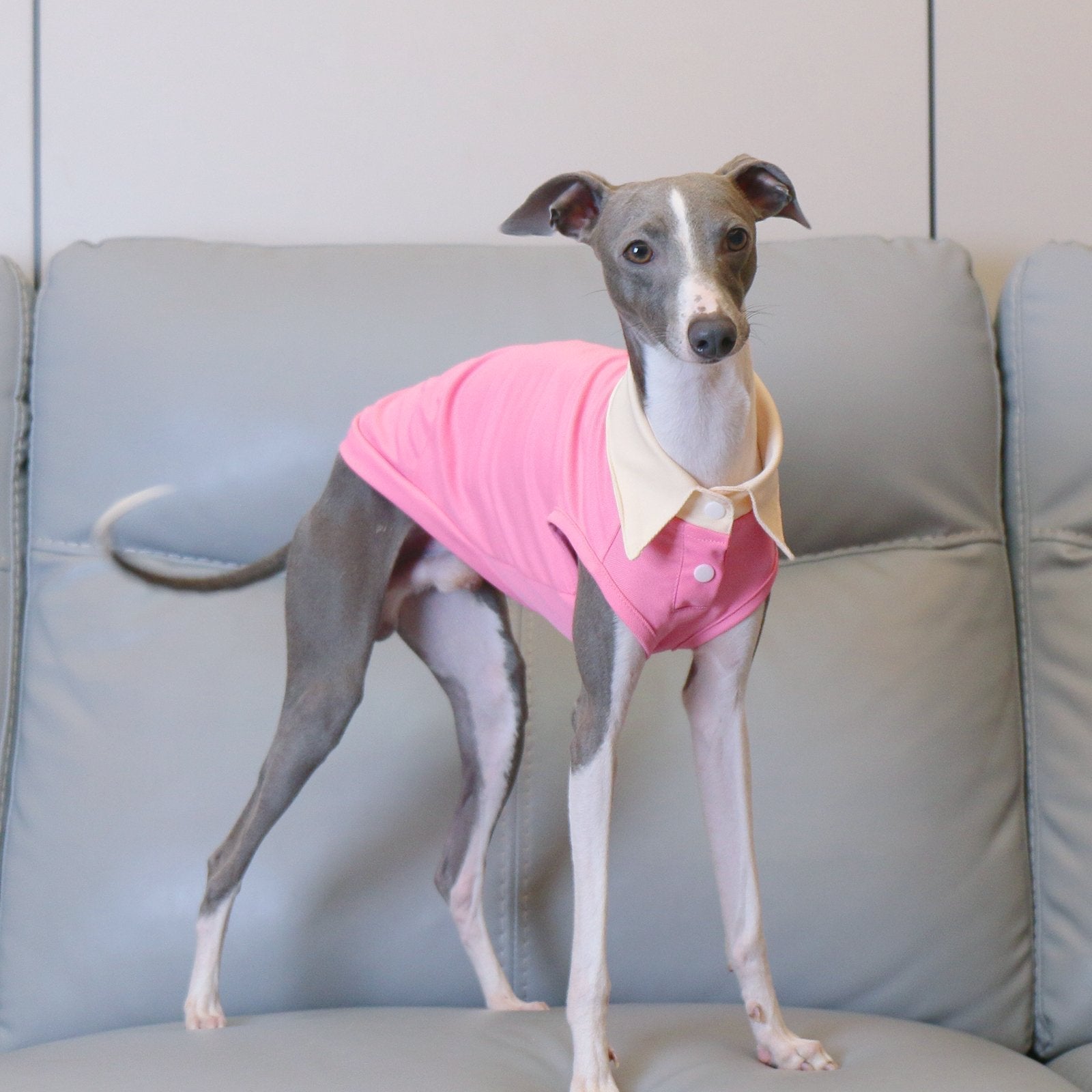 Lightweight Pink Sighthound Polo Shirt