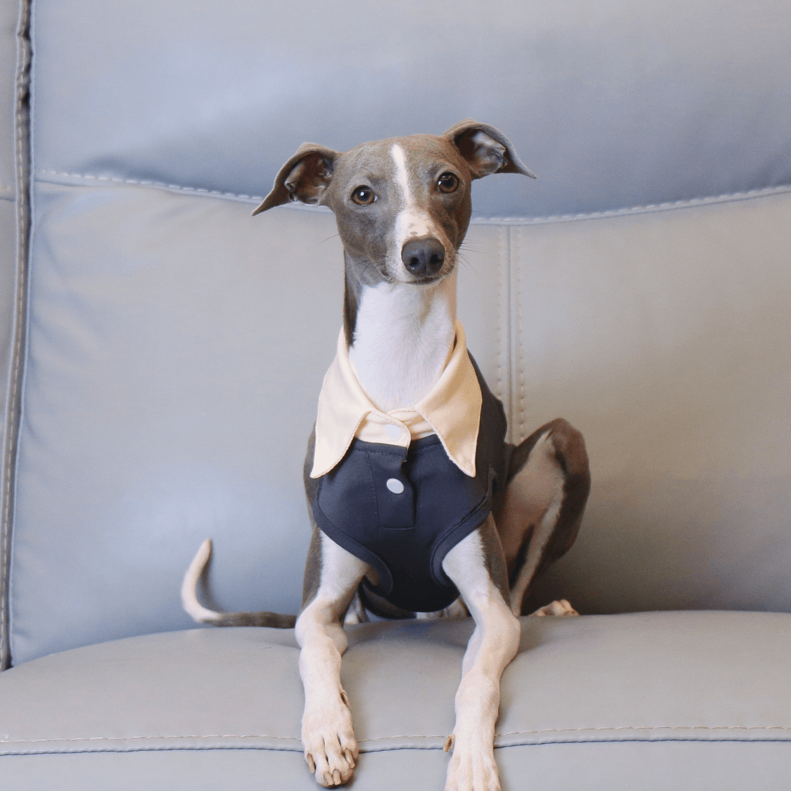 Lightweight Summer Polo Sighthound Vest
