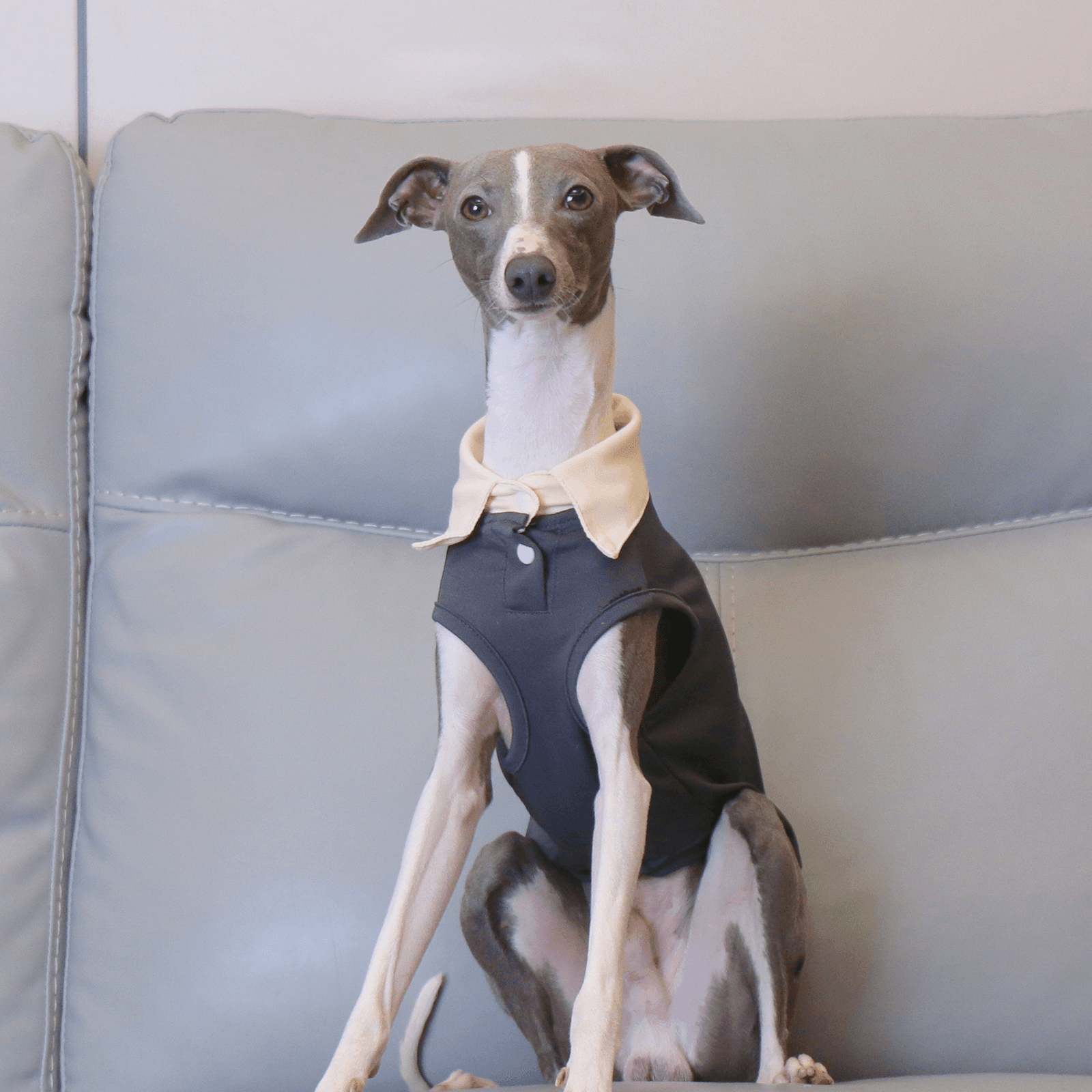 Lightweight Summer Polo Sighthound Vest