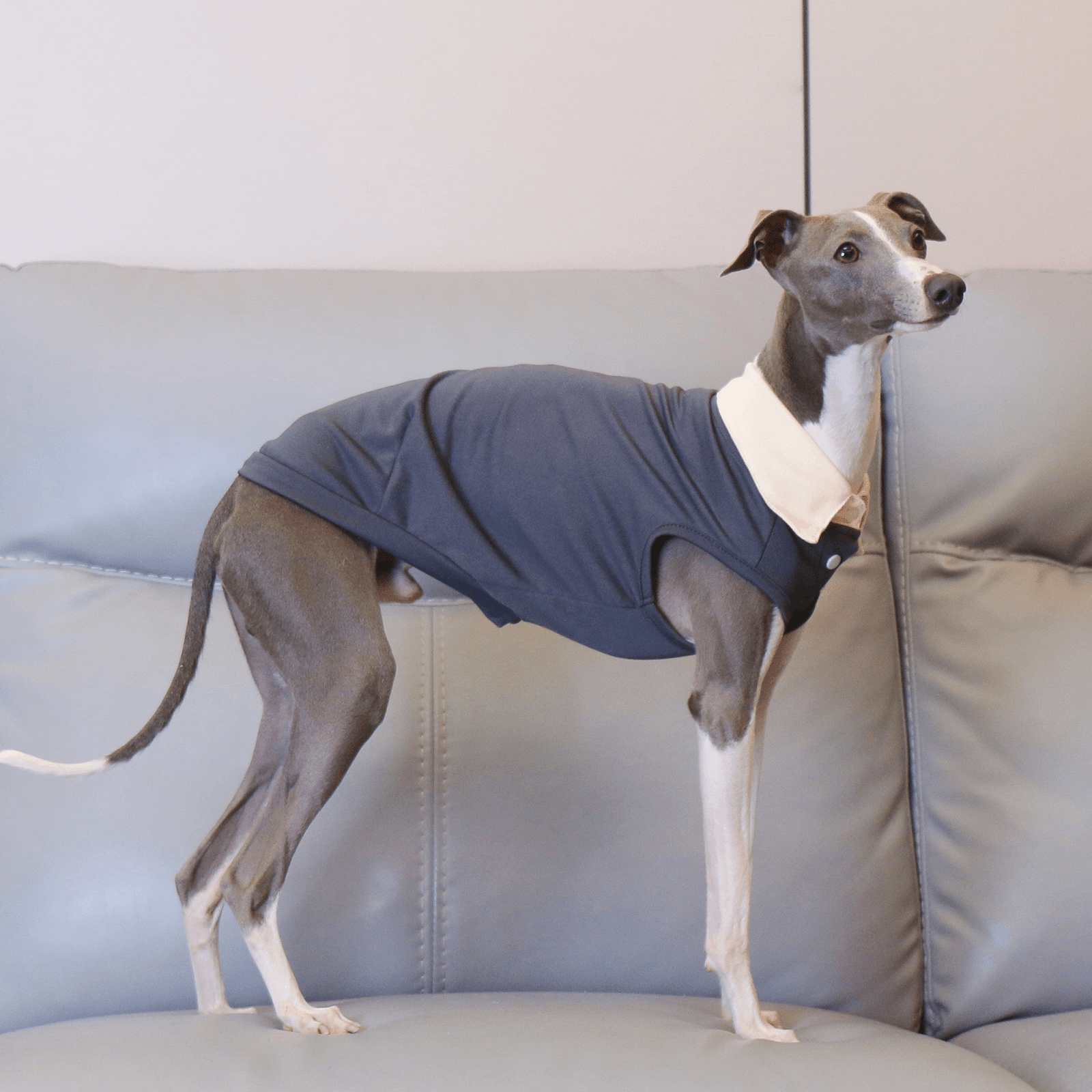 Lightweight Summer Polo Sighthound Vest