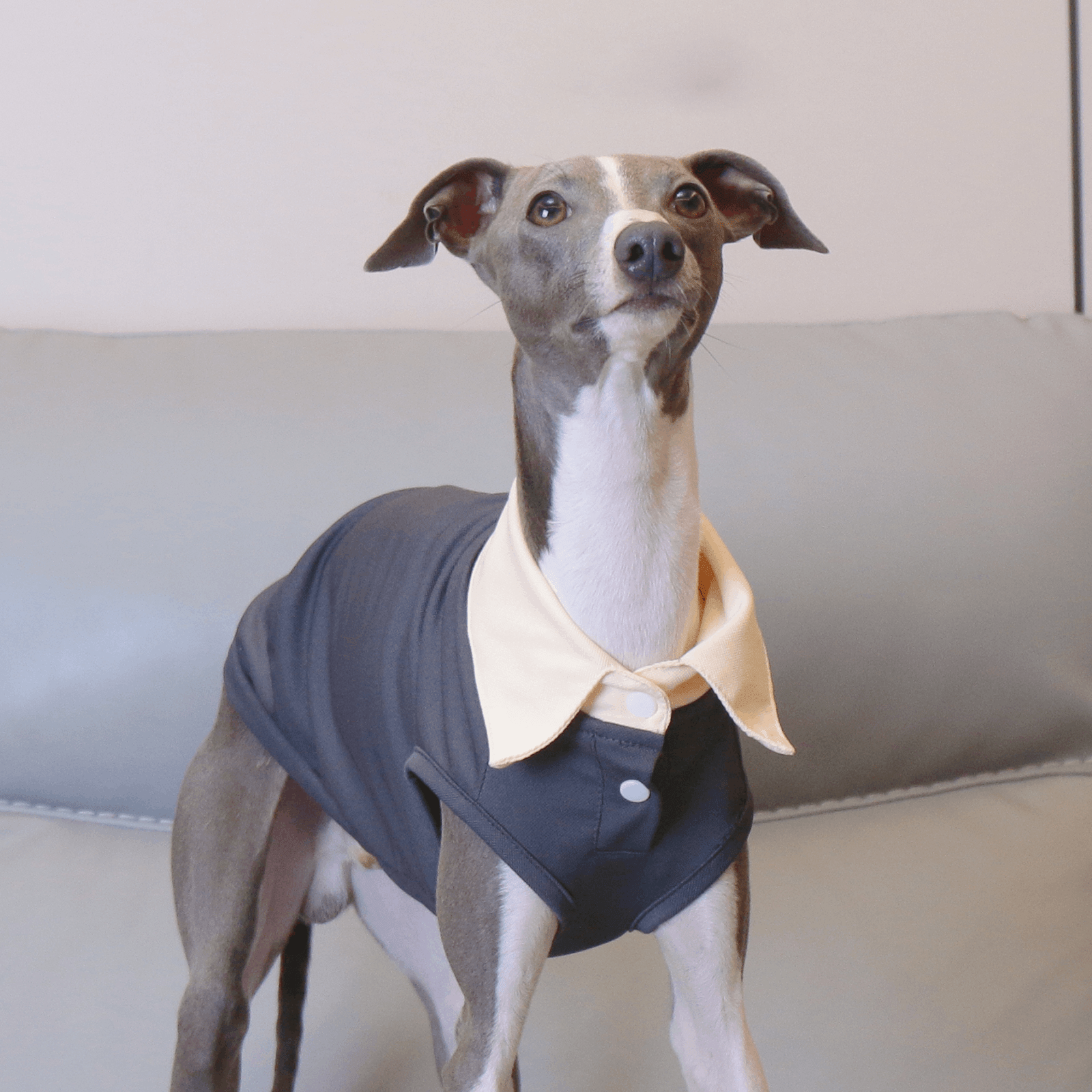 Lightweight Summer Polo Sighthound Vest