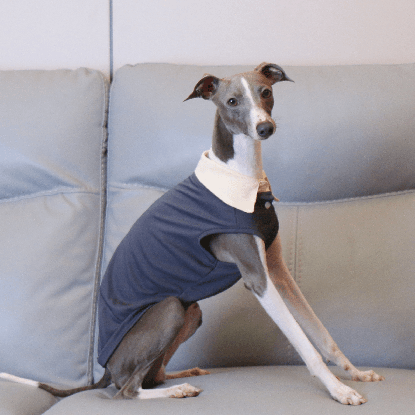 Lightweight Summer Polo Sighthound Vest