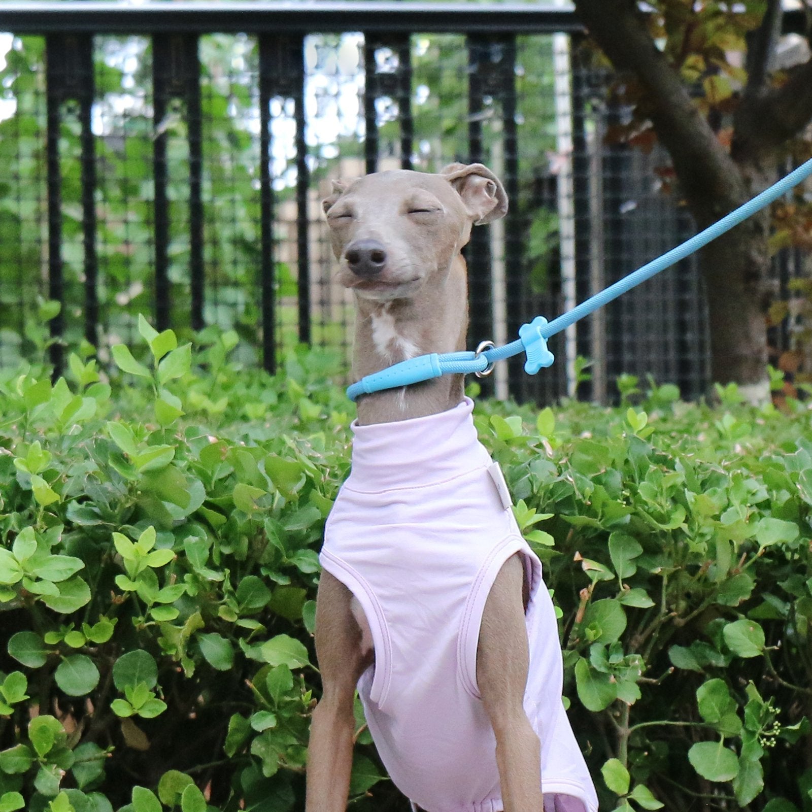Lightweight UV Cooling Sighthound Vest