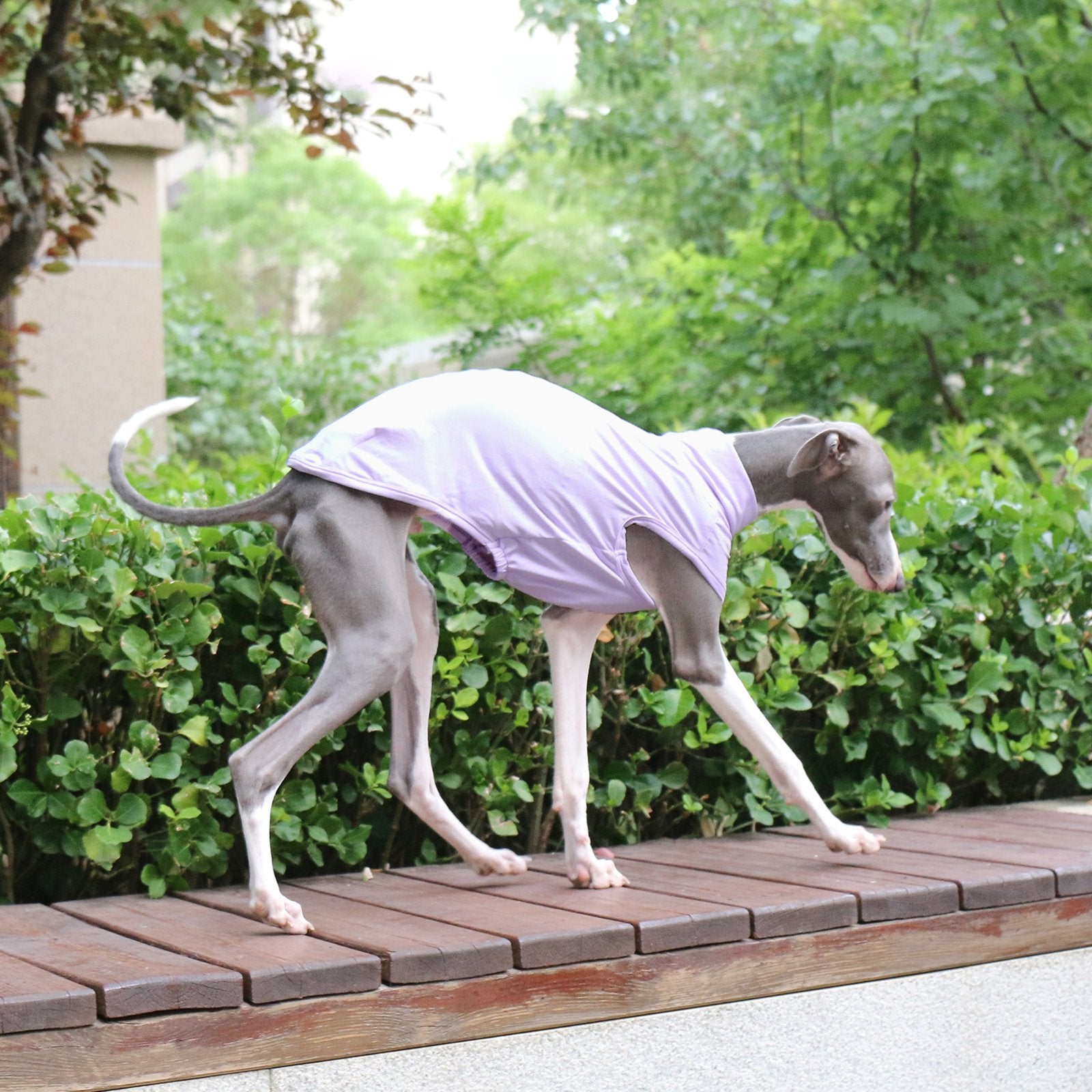 Lightweight UV Cooling Sighthound Vest