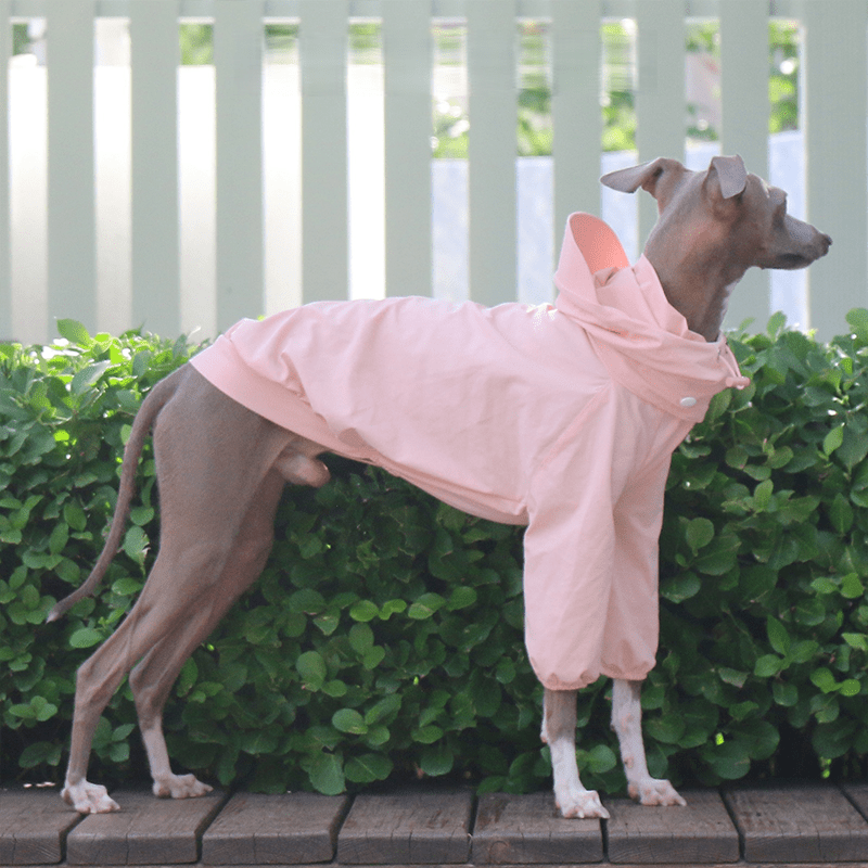 Lightweight Waterproof Whippet Sun Hat