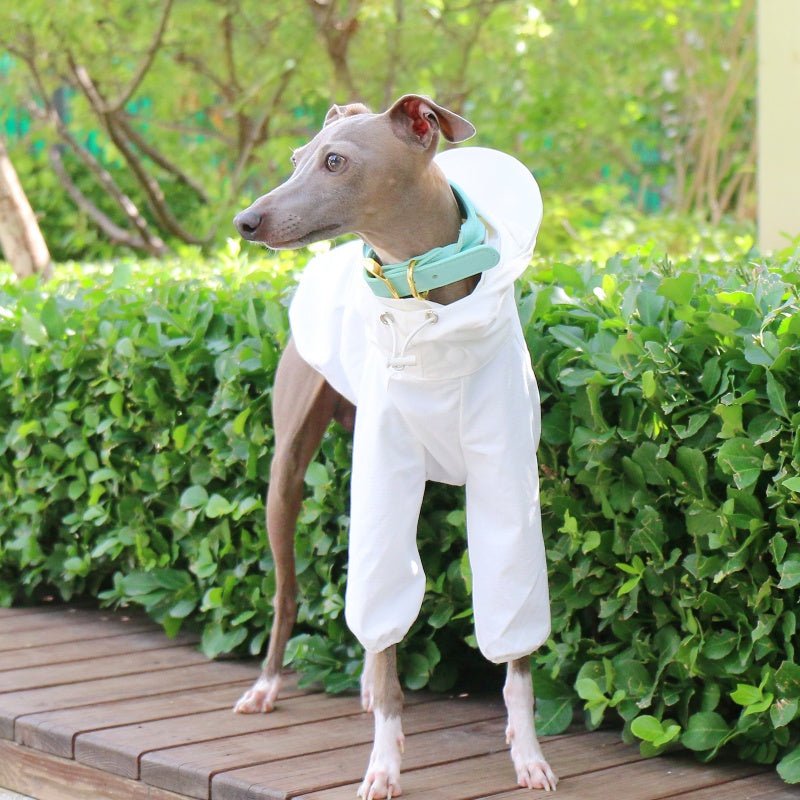 Lightweight Waterproof Whippet Dog Hoodie