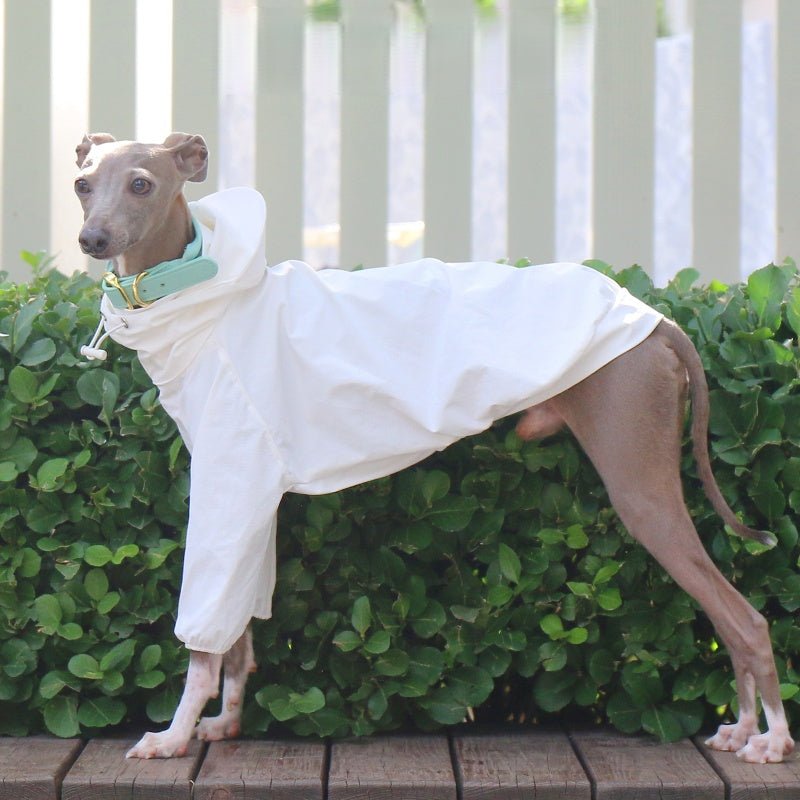 Lightweight Waterproof Whippet Dog Hoodie