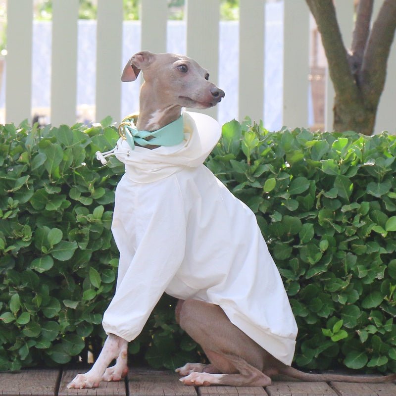 Lightweight Waterproof Whippet Dog Hoodie