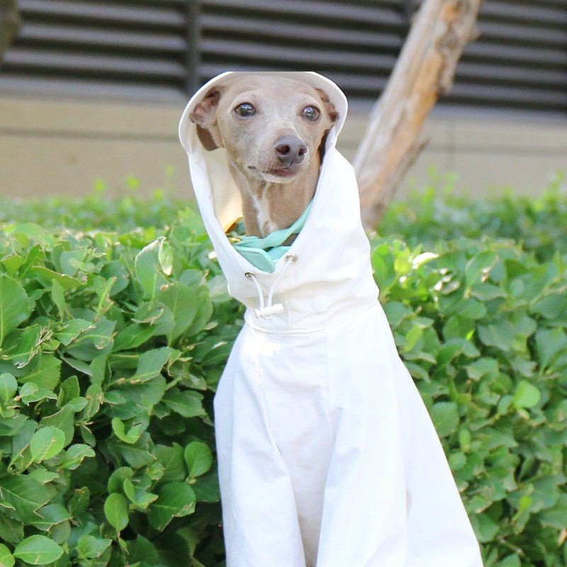 Lightweight Waterproof Whippet Dog Hoodie