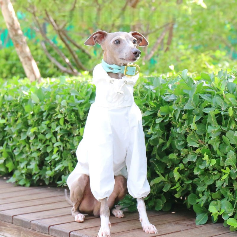Lightweight Waterproof Whippet Dog Hoodie