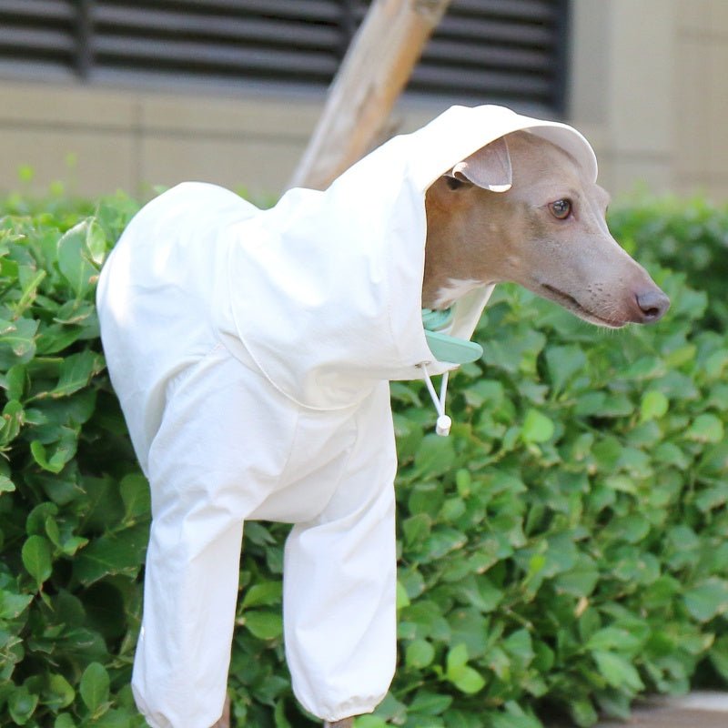 Lightweight Waterproof Whippet Dog Hoodie