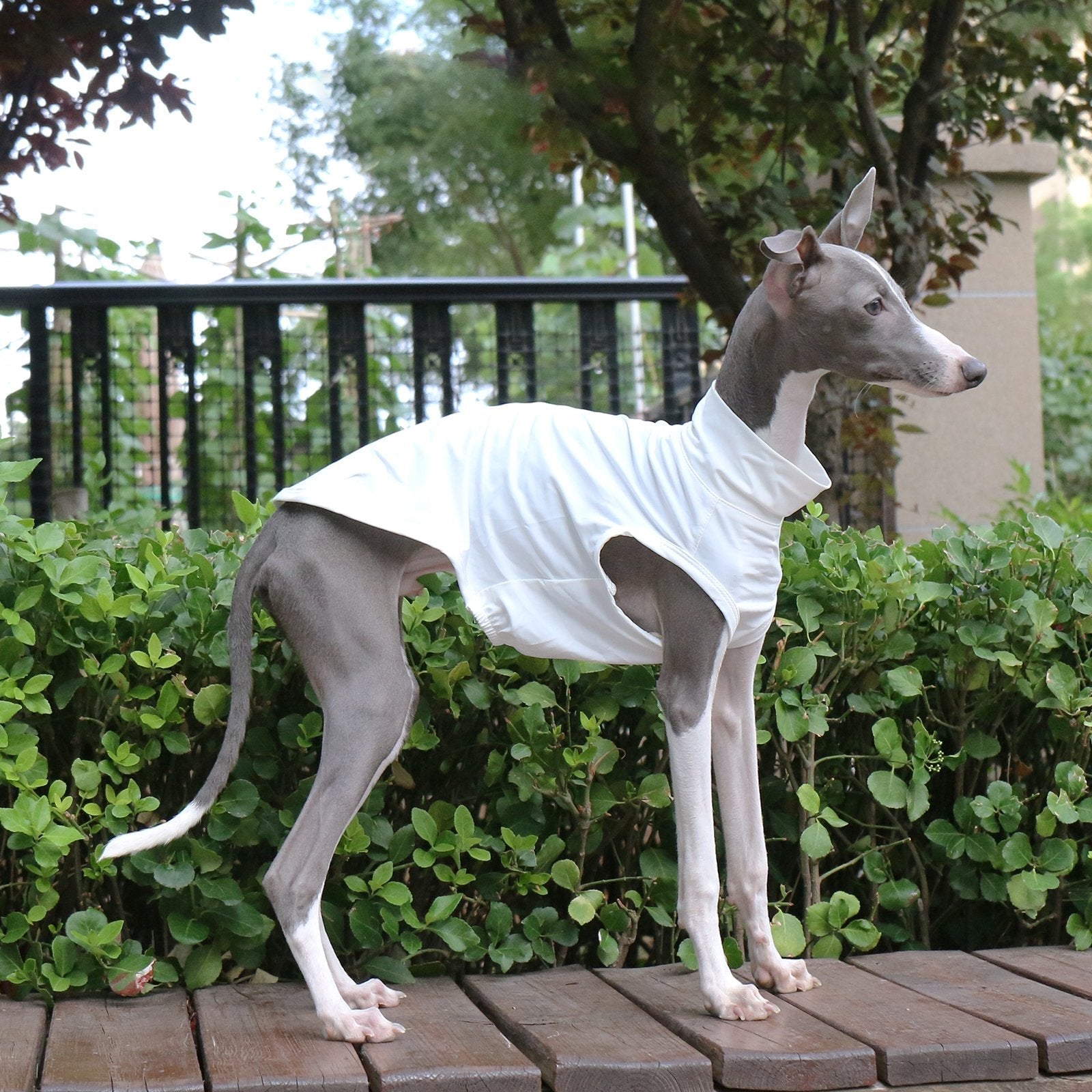 Lightweight Breathable Sighthound Summer Vest