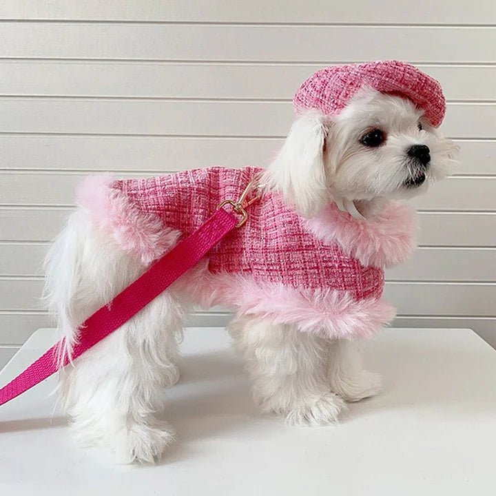 Luxurious Chanel Tweed Dog Cape Coat