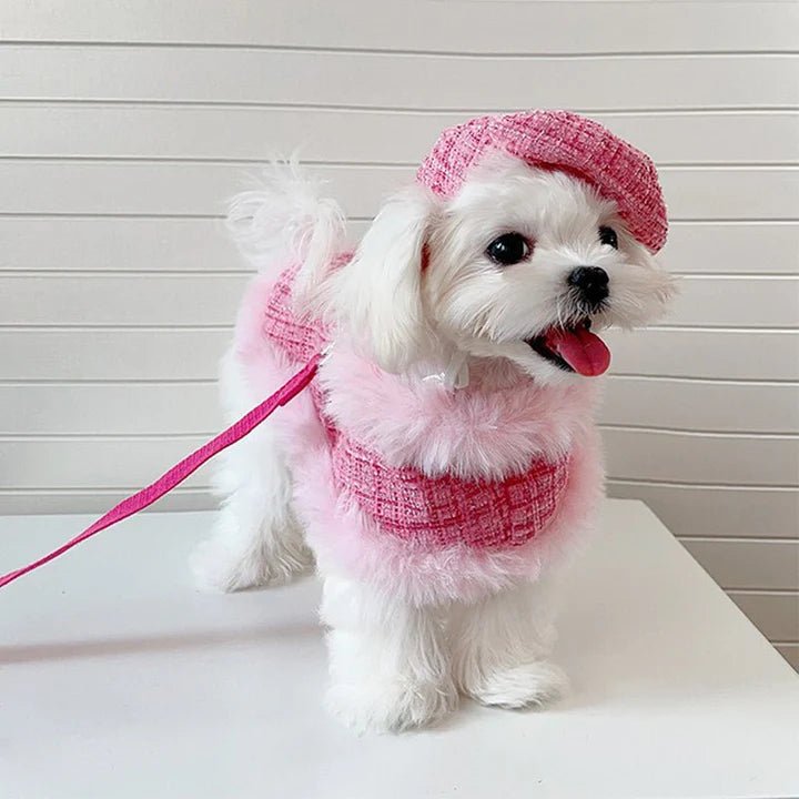 Luxurious Chanel Tweed Dog Cape Coat
