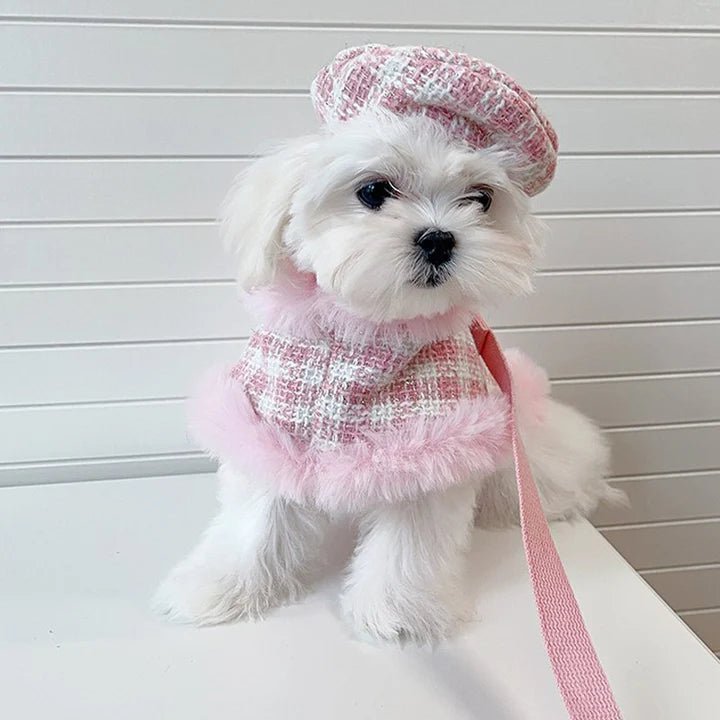 Luxurious Tweed Dog Cape Coat
