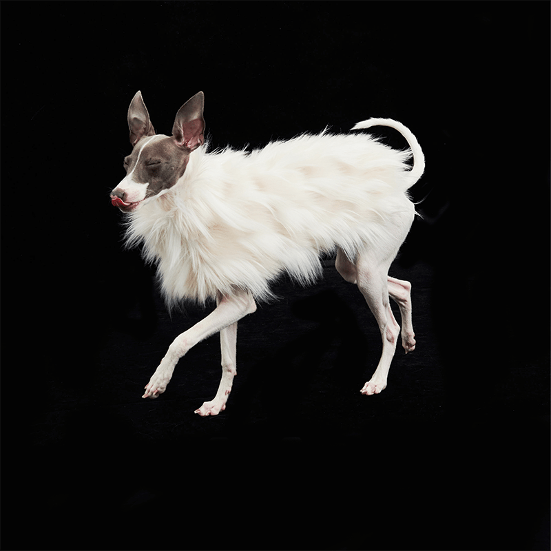 Luxury Faux Fur Greyhound Dog Cape