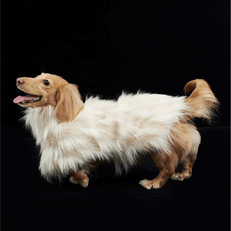 Luxury Faux Fur Greyhound Dog Cape