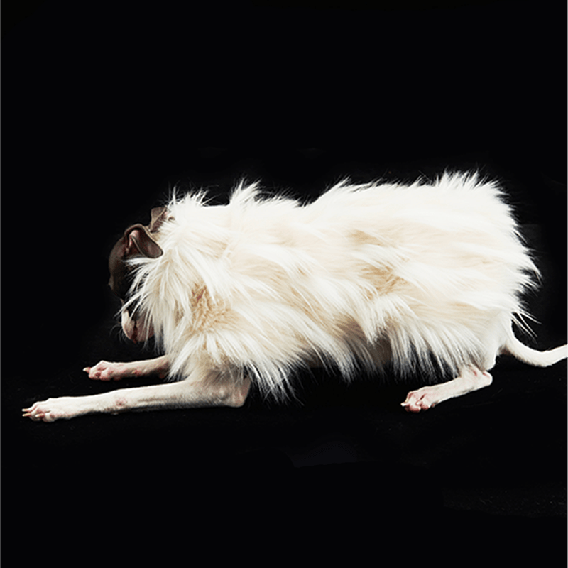 Luxury Faux Fur Greyhound Dog Cape