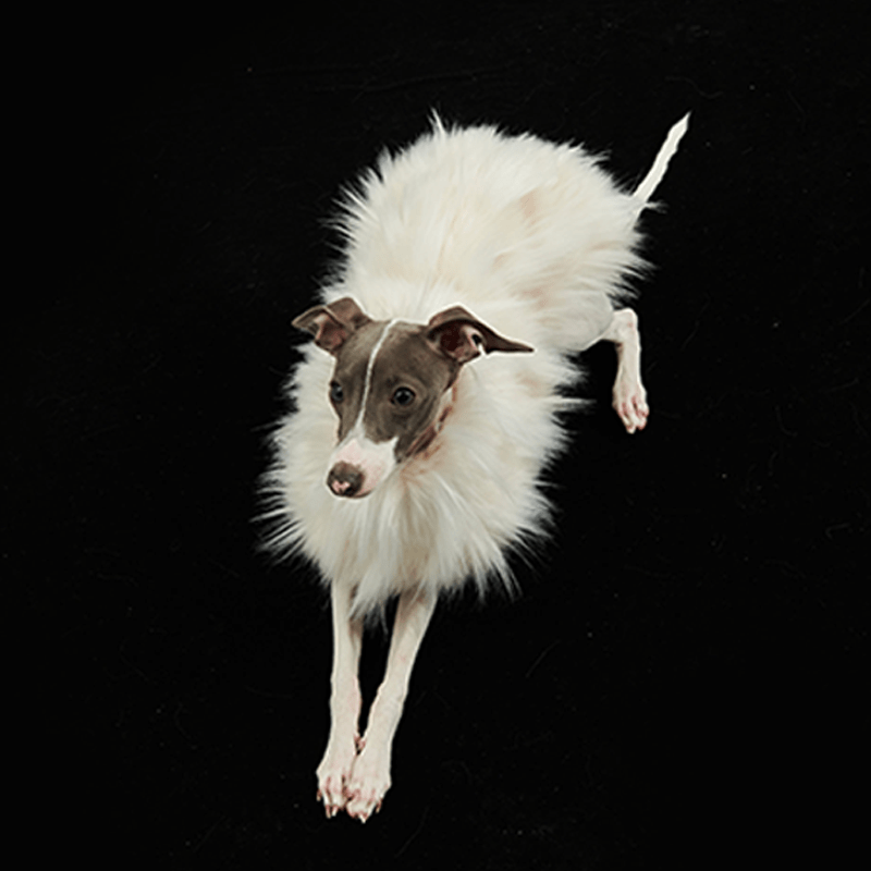 Luxury Faux Fur Greyhound Dog Cape