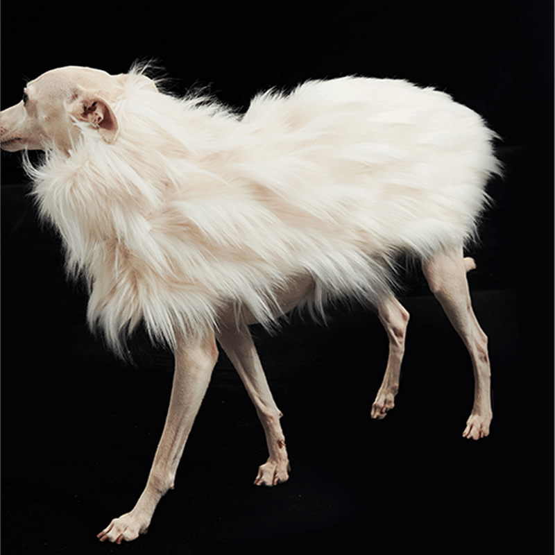 Luxury Faux Fur Greyhound Dog Cape