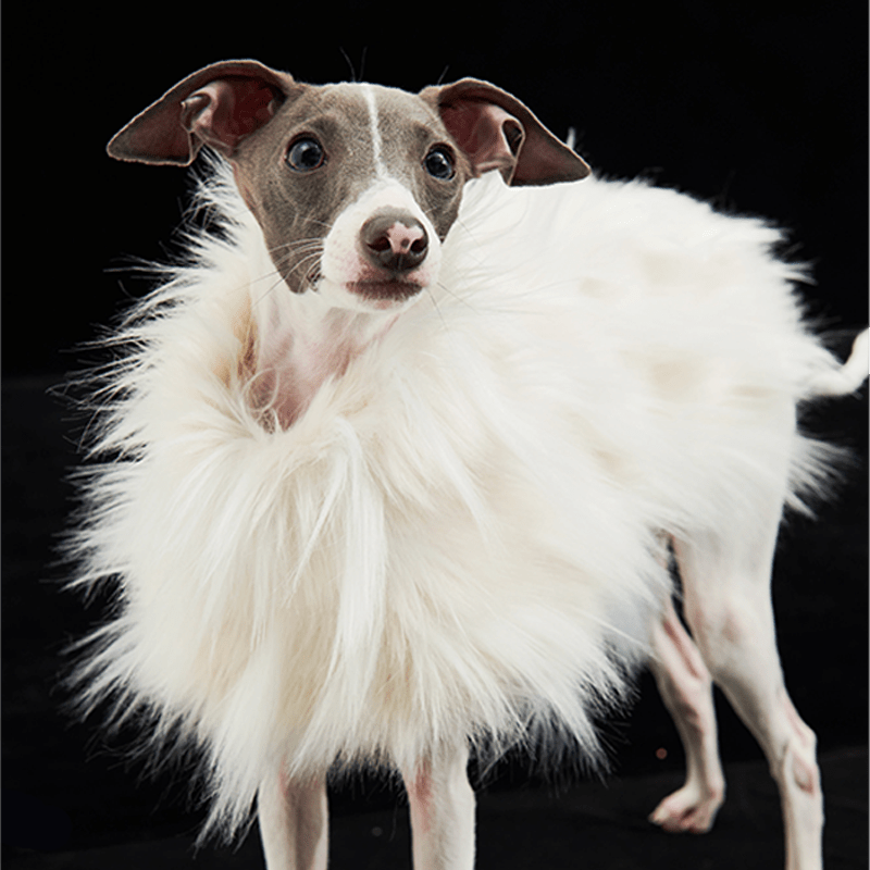 Luxury Faux Fur Greyhound Dog Cape