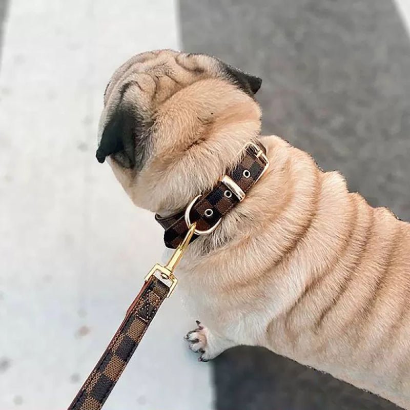 PU Leather Small Dog Collar Leash Set