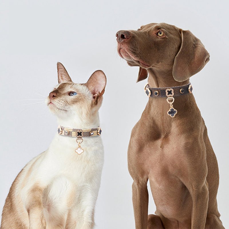 PU Leather Small Dog Collar Leash Set