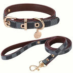 Adjustable Leather Dog Collar Leash Set