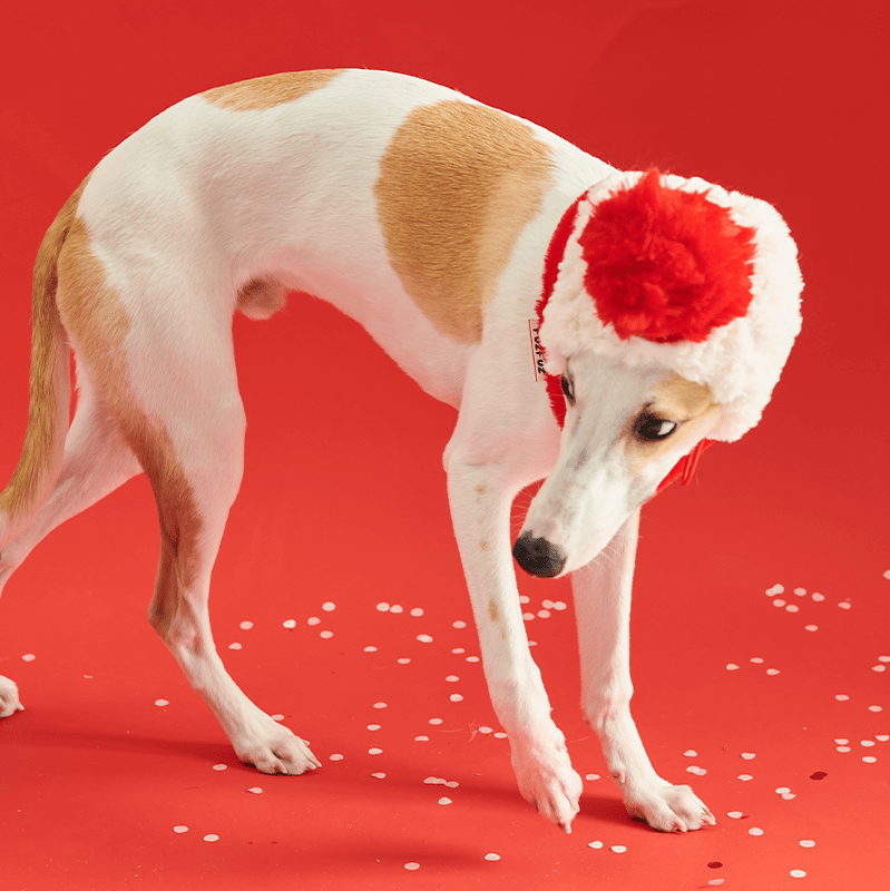 Stylish Red Italian Dog Fleece Vest