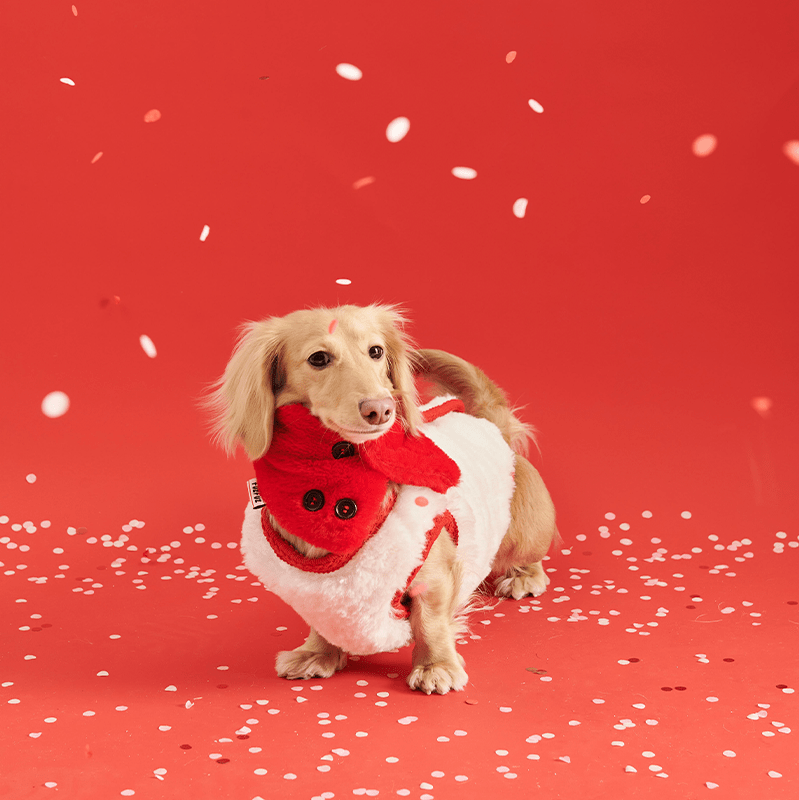 New Year Red Fleece Small Dog Vest