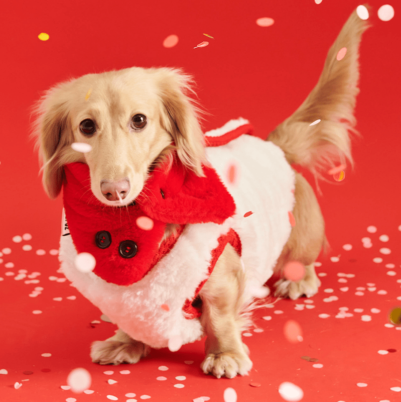 New Year Red Fleece Small Dog Vest