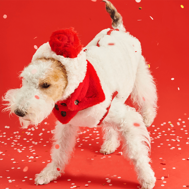 Stylish Red Fleece Italian Dog Vest