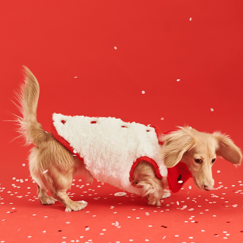 Stylish Red Fleece Italian Dog Vest