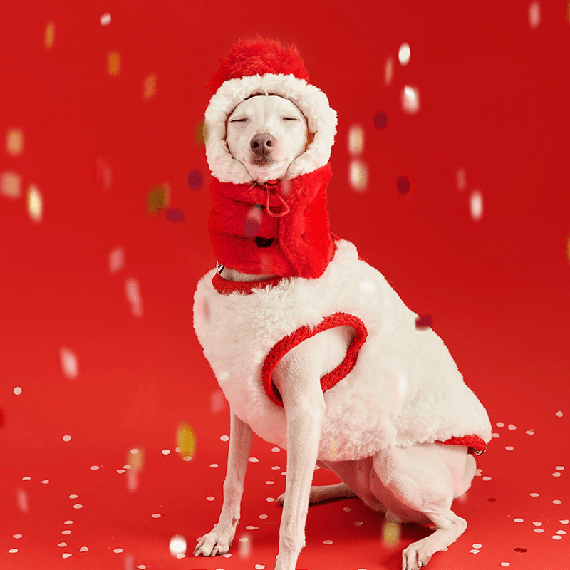 Stylish Red Fleece Italian Dog Vest