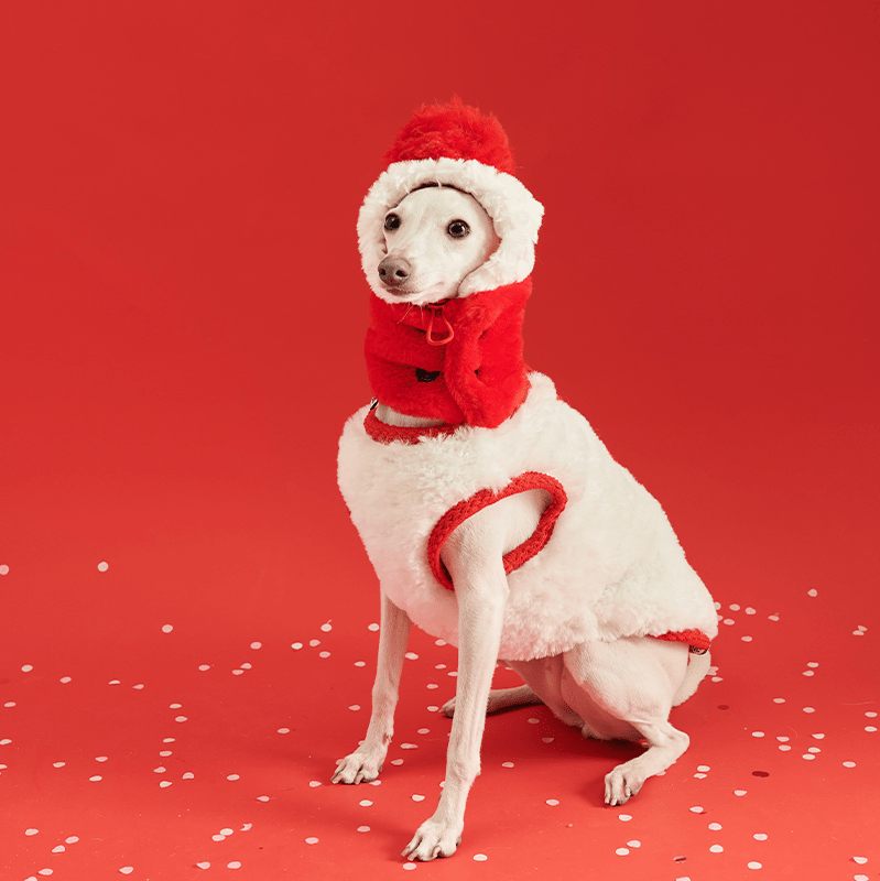 Cozy Italian Greyhound Fleece Vest